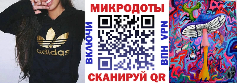 как найти закладки  МЕГА ссылка  Псилоцибиновые грибы ЛСД  Новая Ладога 